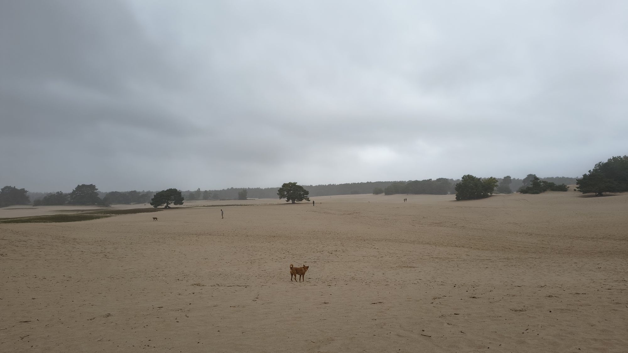 soesterduinen